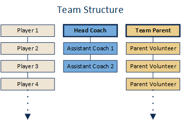 Team structure